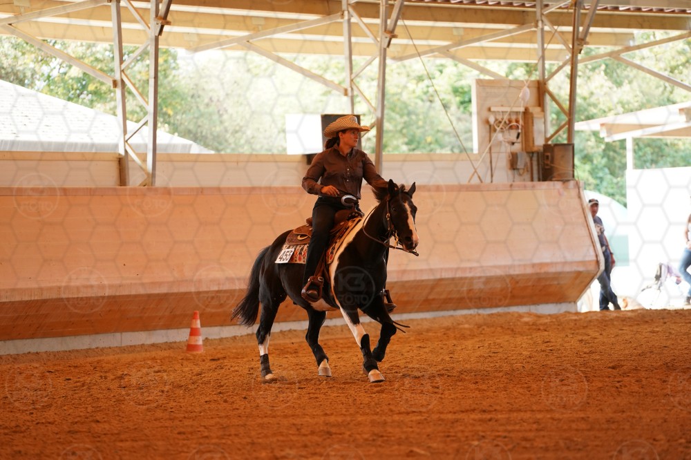s_A_909278.JPG